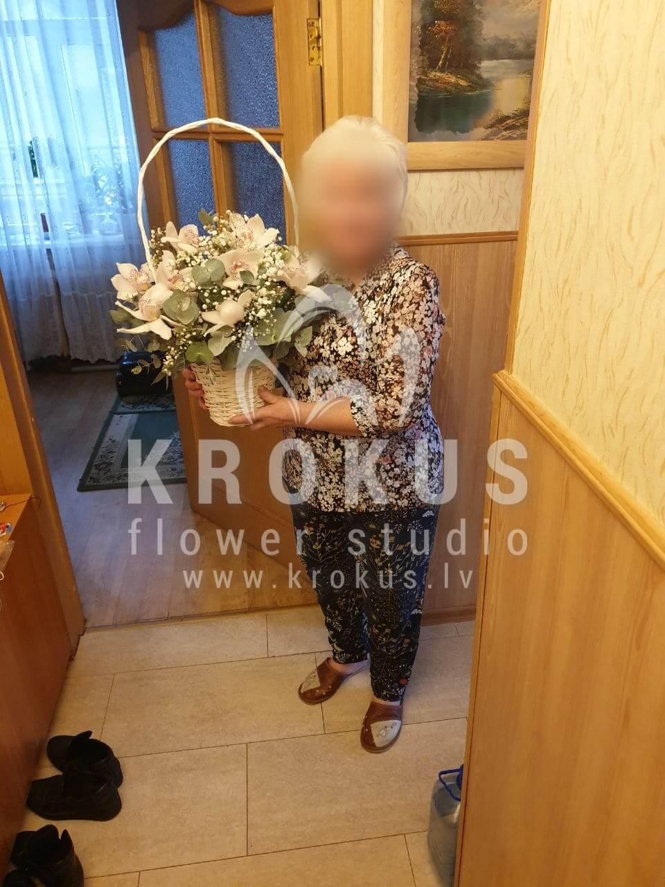 Deliver flowers to Rīga (gypsophilaorchidsgum tree)