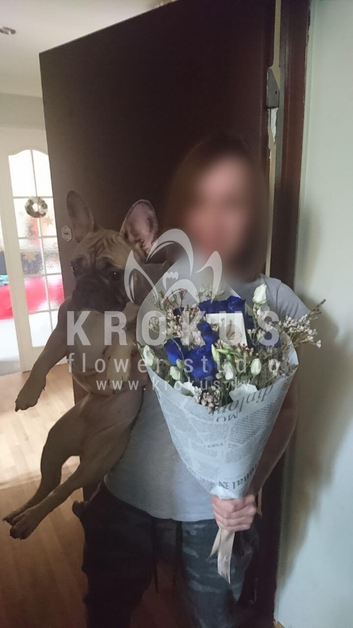 Доставка цветов в город Рига (cиние розы)