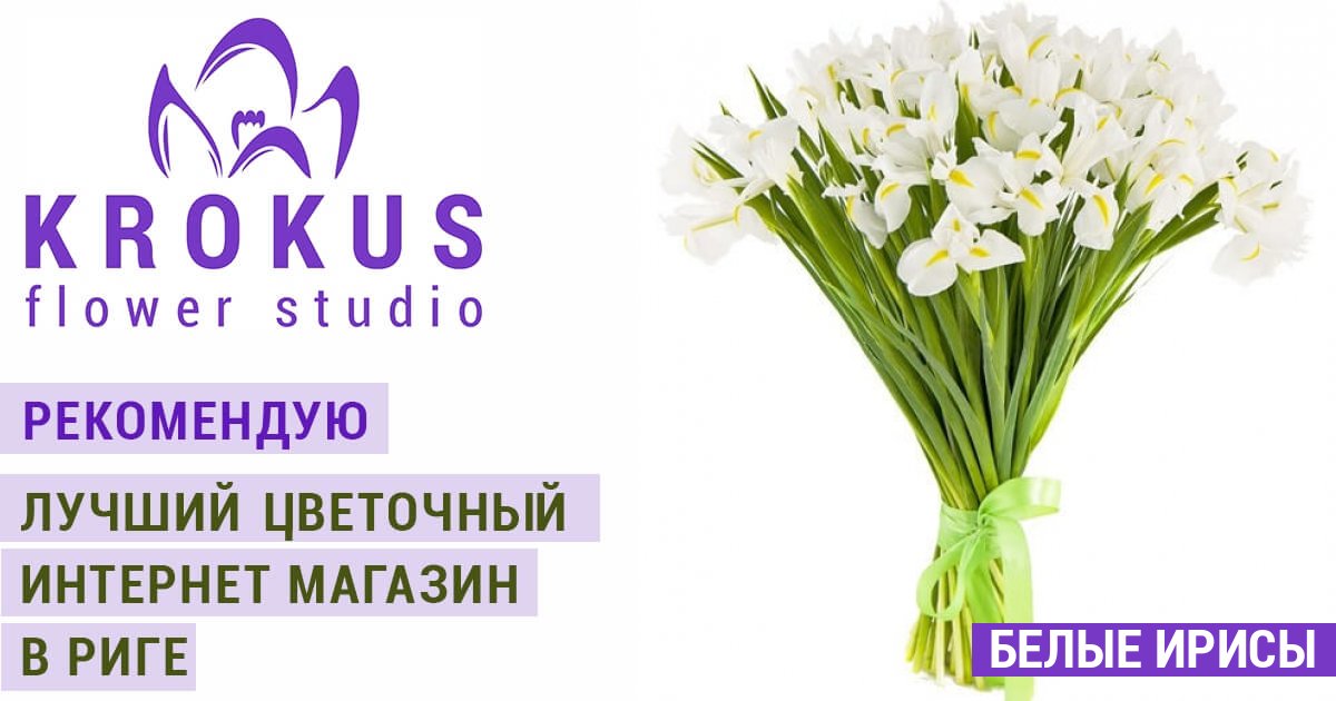 Про Цветок Интернет Магазин Казахстан