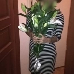 Доставка цветов в город . Отчёт № 568