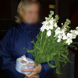 Доставка цветов в город Rīga. Отчёт № 2749