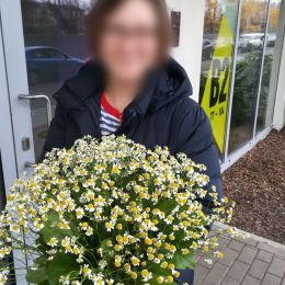 Доставка цветов в город Rīga. Отчёт № 2752