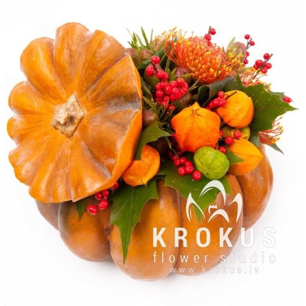 Composition in pumpkin- Autumn