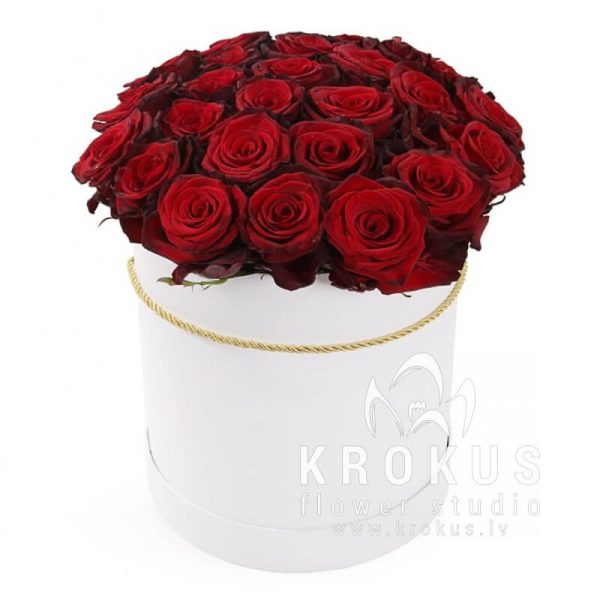 Red roses in a box