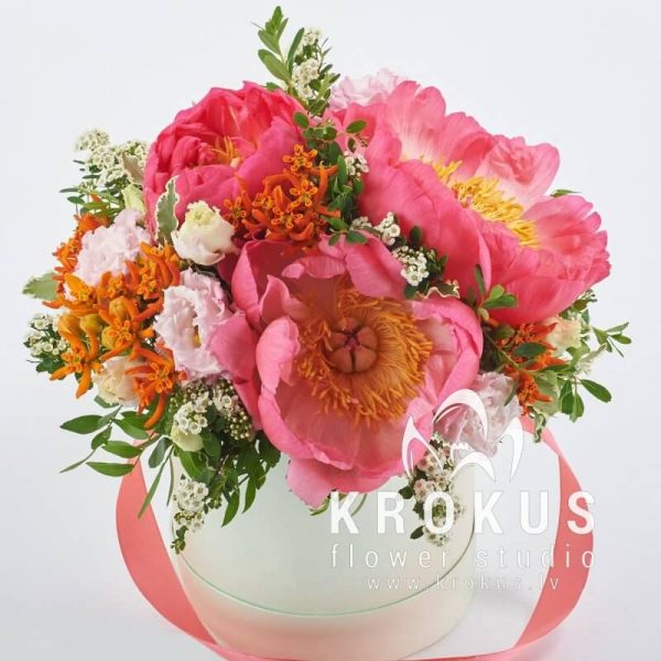 Коралловые пионы в коробке