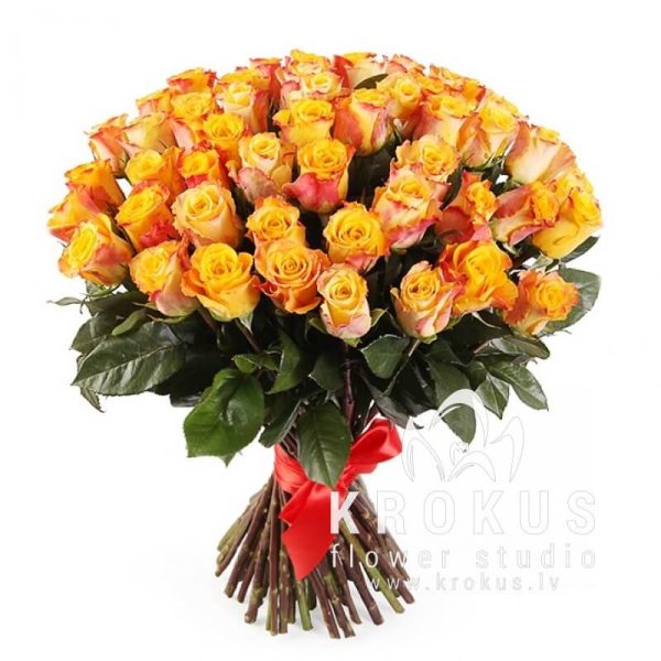 51 ORANGE ROSES SUPER PRICE!!!