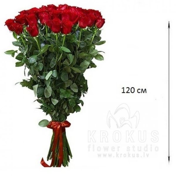 Sarkanas rozes 120cm  ❤️
