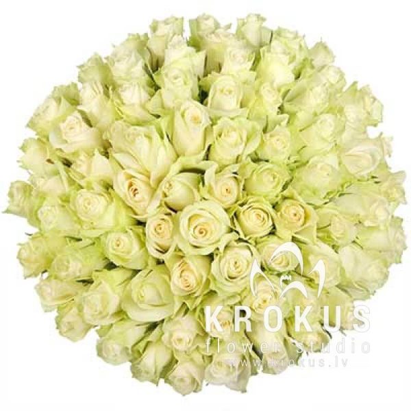 White roses 40cm