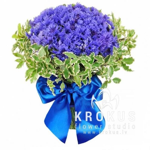 Bouquet of cornflowers