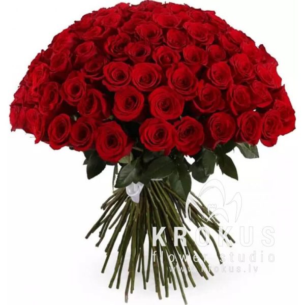 Red roses  80cm