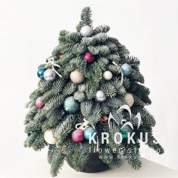 Ёлочка "Зимний сад"
