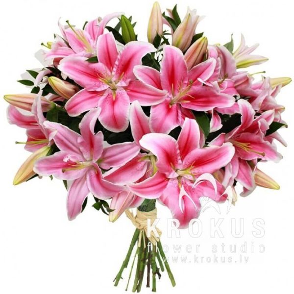 Pink lilies