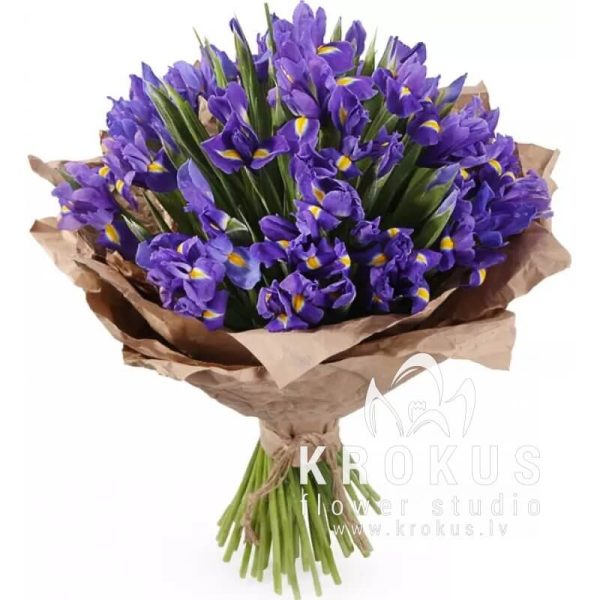 Iris