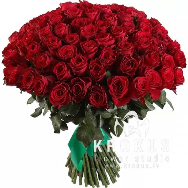Red roses 70cm XXL