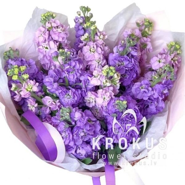 Aroma bouquet from mattiola