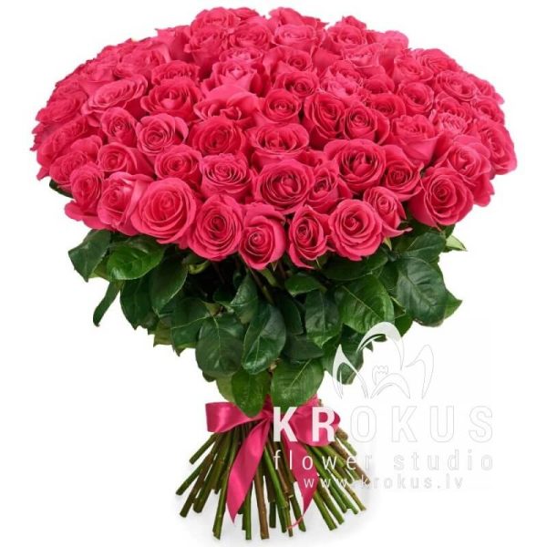 Pink roses 60cm XXL
