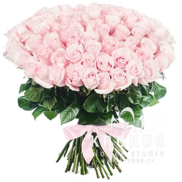 101 pink roses 50cm SUPER DEAL!!! ❤️