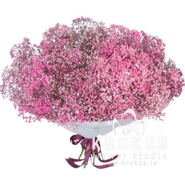 Bouquet of pink gypsophila