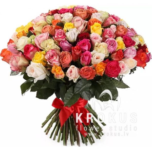 51 Roses MIX SUPER CENA!!!