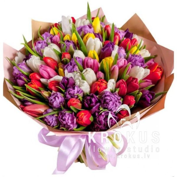 101 Tulpes MIX SUPER CENA