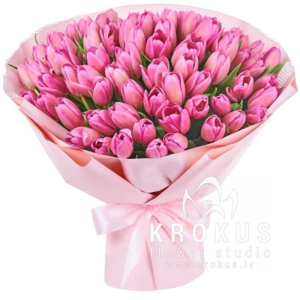 Tulips pink