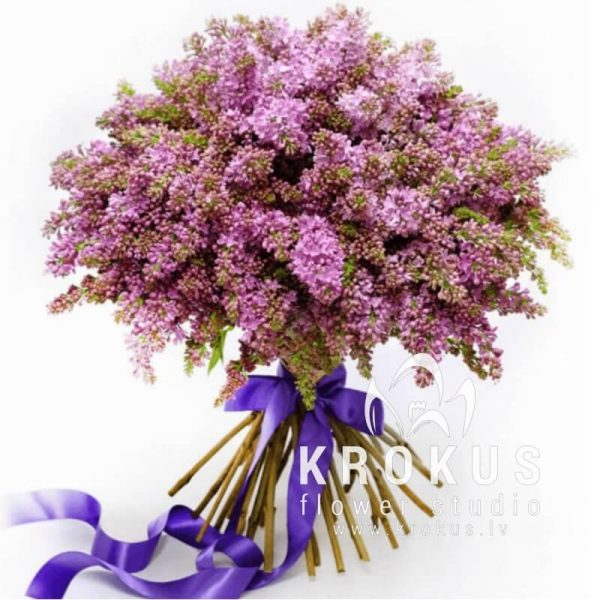 Lilac