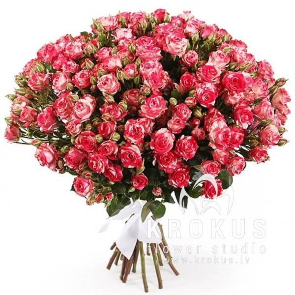 Spray roses