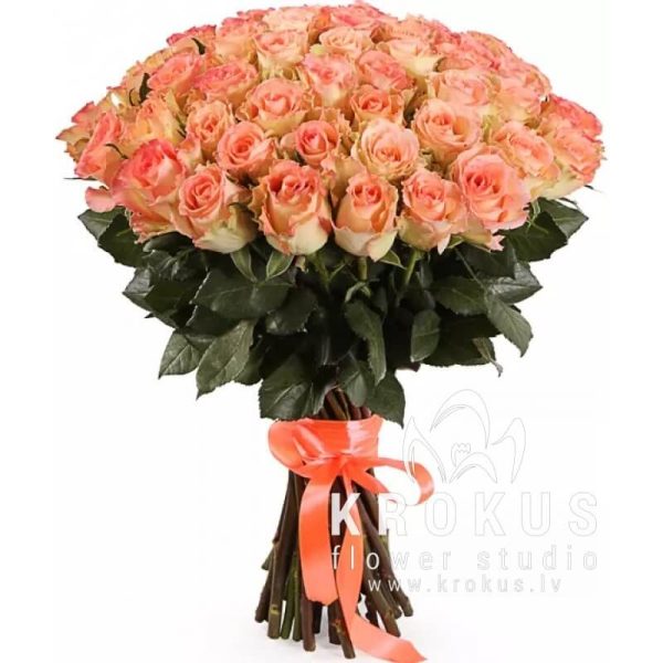 51  roze Duet Classic SUPER CENA