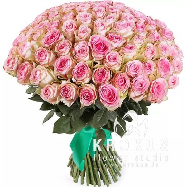 101 Pink rose 50cm SUPER PRICE