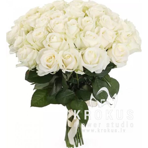 White roses XXL 60cm