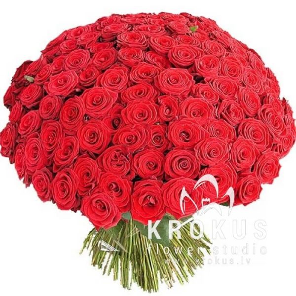 Bouquet from 201 Rose  big flowers❤️