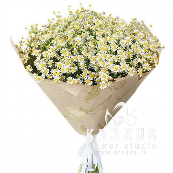 Bouquet of kamillas
