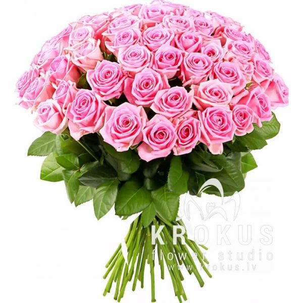 Pink roses