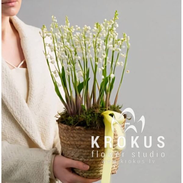 Корзина ландышей