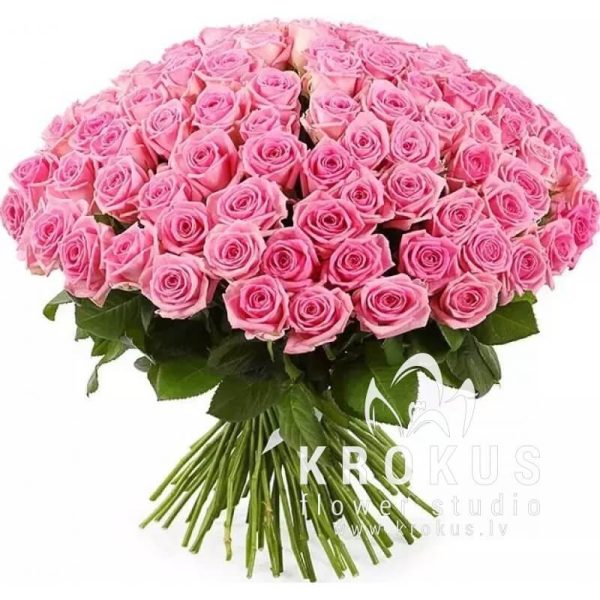 101 Pink rose SUPER PRICE