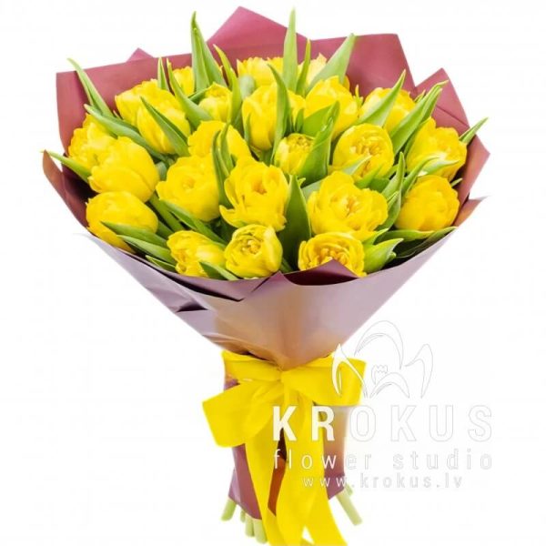 Peony yellow tulips