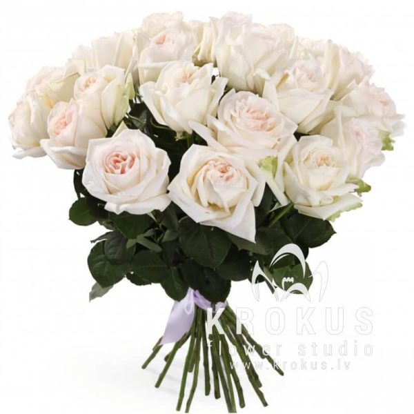 Fragrant peony roses