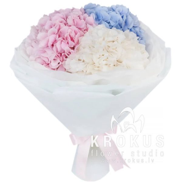 Bouquet of mixed hydrangea