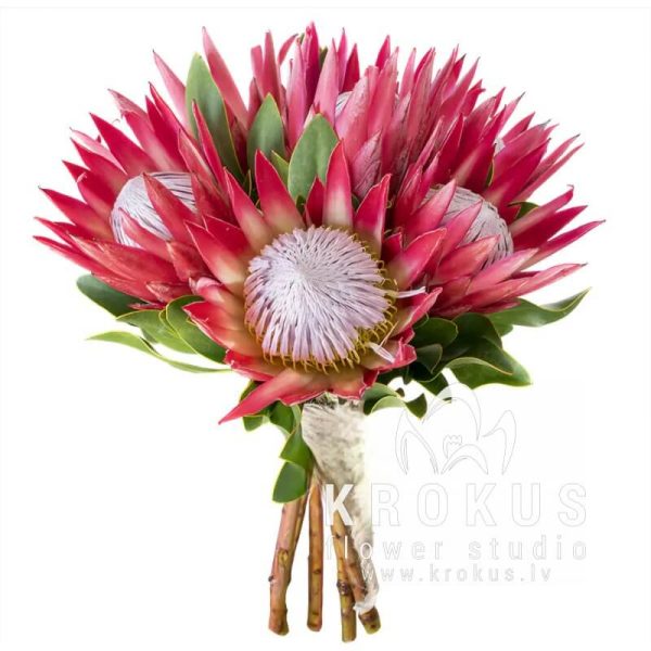 Protea Bouquet