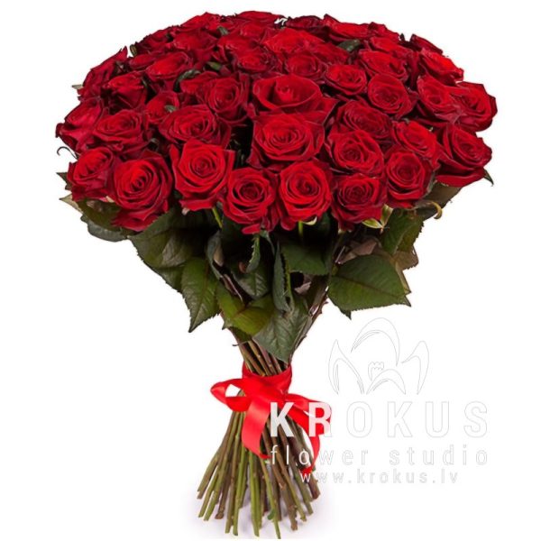Красные розы 40cм XXL