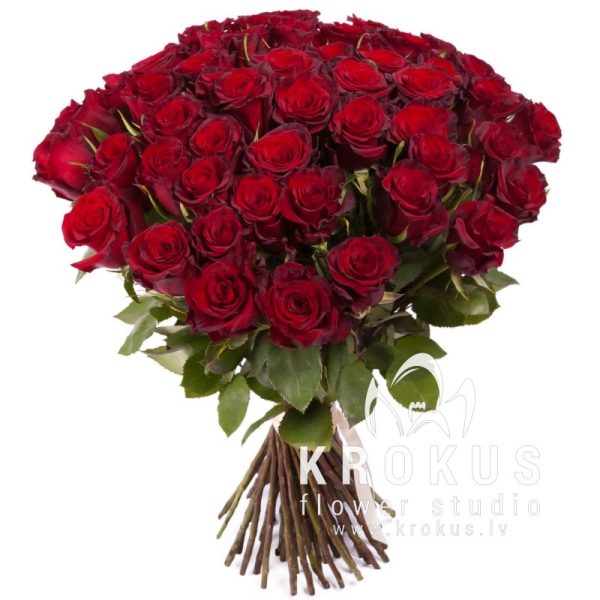 Sarkanas rozes 50cm