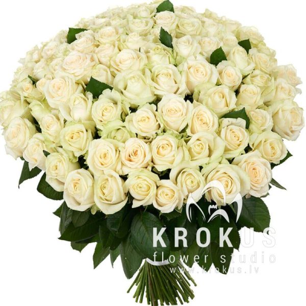 101 white roses 35cm Super Price!