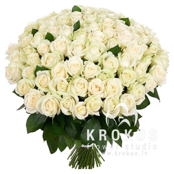101 white roses 35cm❤️