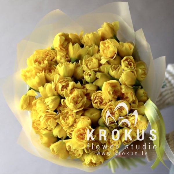 Daffodils