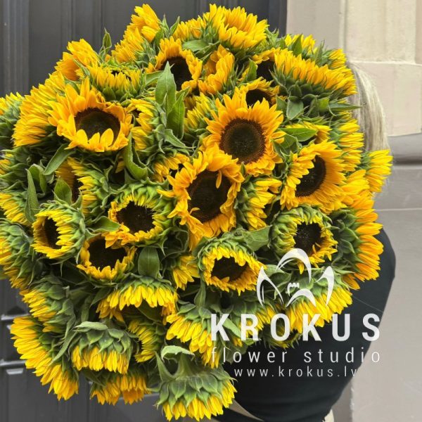 Sunflowers