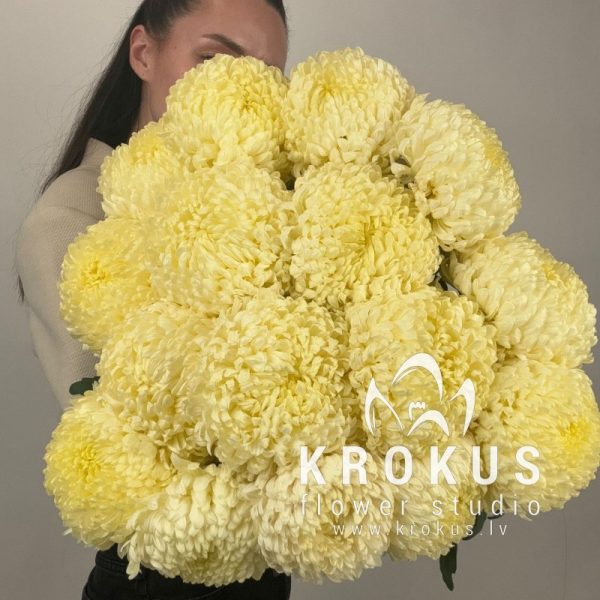 Bouquet of butter-colored chrysanthemums
