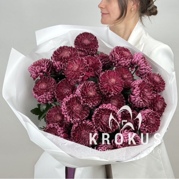 Chrysanths Bigoudi