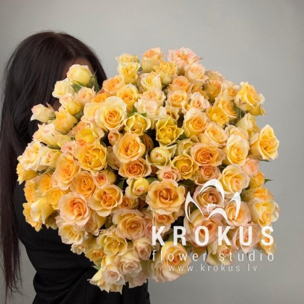 Krūmrozes