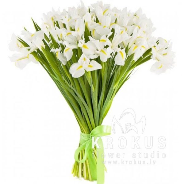 White irises