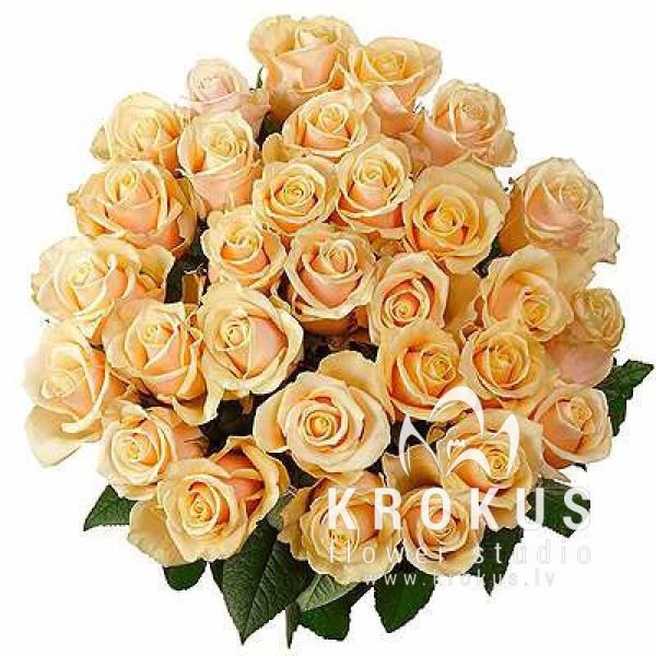 Bouquet of roses ''Cream-Brule"